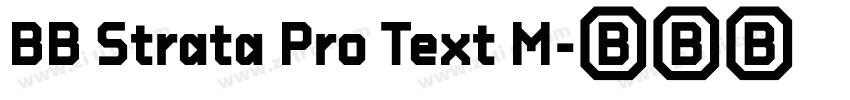 BB Strata Pro Text M字体转换 BB Strata Pro Text M字体转换